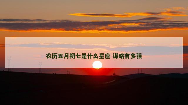 农历五月初七是什么星座 谋略有多强