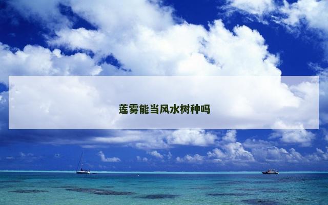 莲雾能当风水树种吗