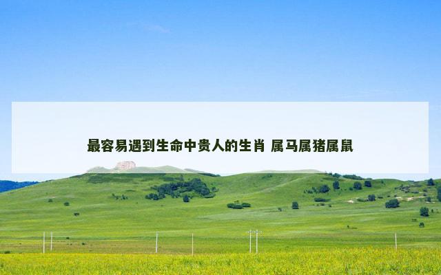 最容易遇到生命中贵人的生肖 属马属猪属鼠