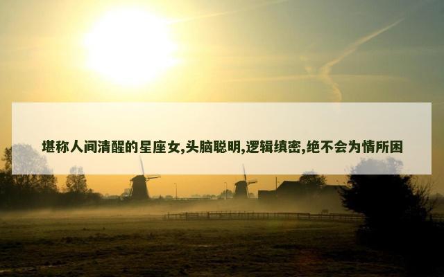 堪称人间清醒的星座女,头脑聪明,逻辑缜密,绝不会为情所困