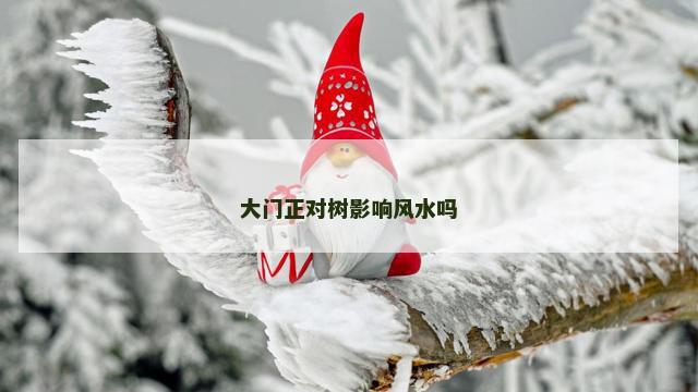 大门正对树影响风水吗