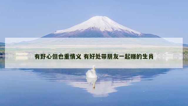 有野心但也重情义 有好处带朋友一起赚的生肖