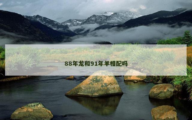 88年龙和91年羊相配吗