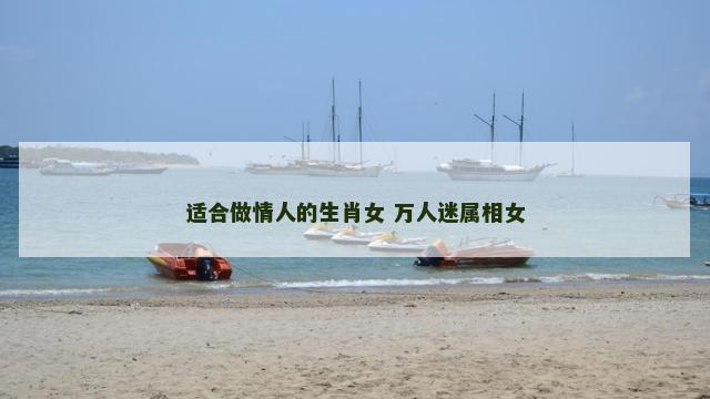 适合做情人的生肖女 万人迷属相女