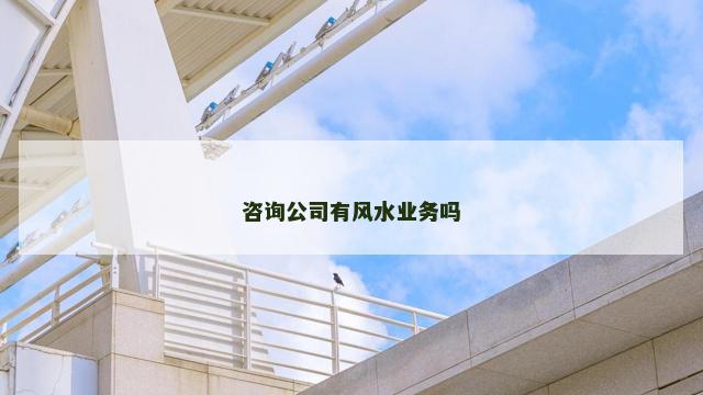 咨询公司有风水业务吗