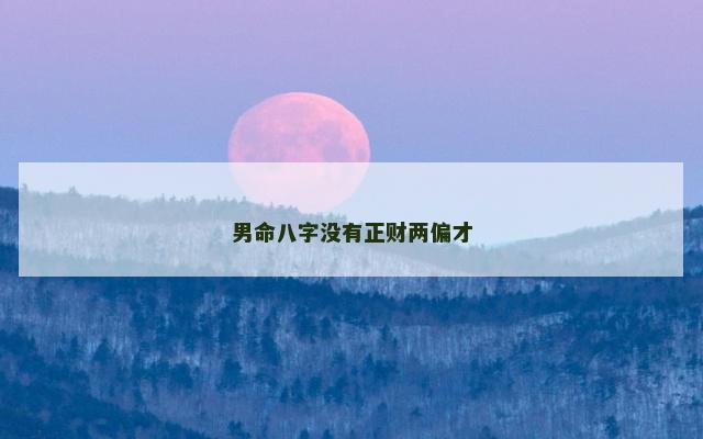 男命八字没有正财两偏才