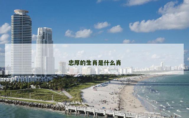 忠厚的生肖是什么肖