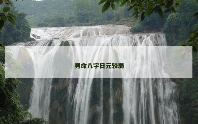 男命八字日元较弱