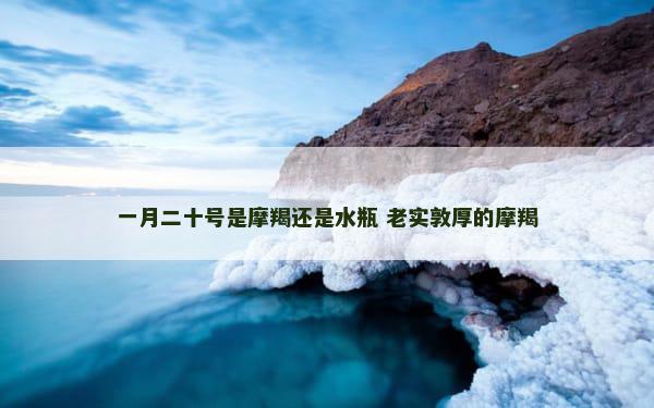 一月二十号是摩羯还是水瓶 老实敦厚的摩羯
