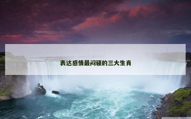 表达感情最闷骚的三大生肖