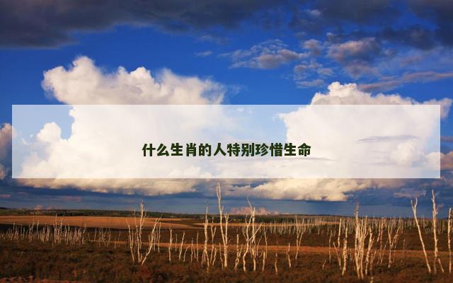 什么生肖的人特别珍惜生命