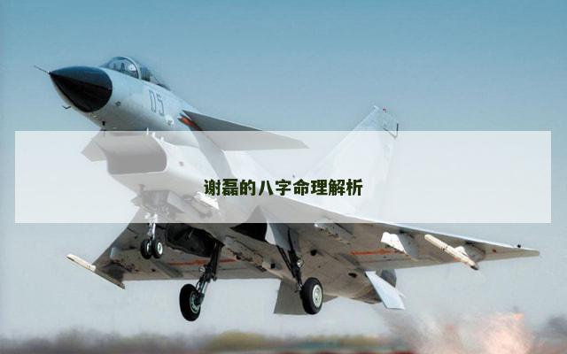 谢磊的八字命理解析