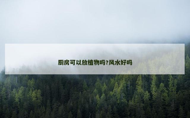 厨房可以放植物吗?风水好吗
