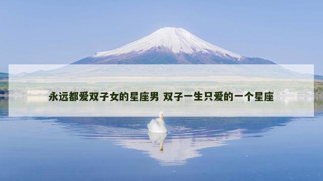 永远都爱双子女的星座男 双子一生只爱的一个星座