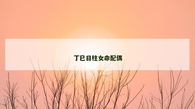 丁巳日柱女命配偶