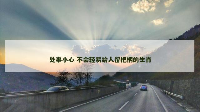 处事小心 不会轻易给人留把柄的生肖
