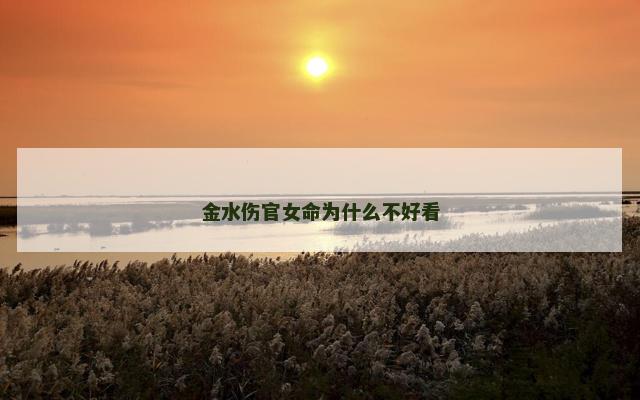 金水伤官女命为什么不好看