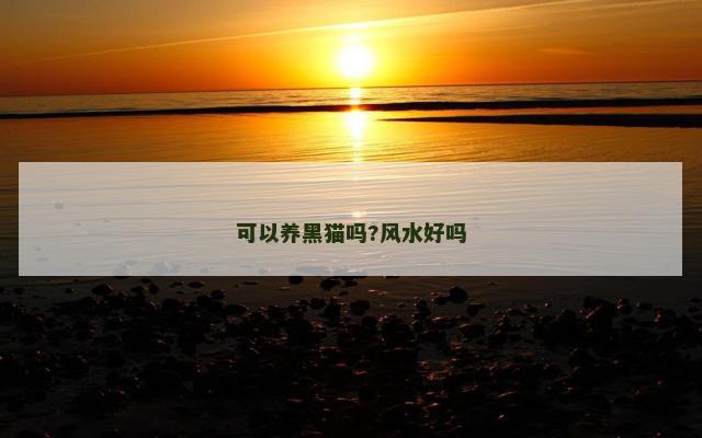 可以养黑猫吗?风水好吗