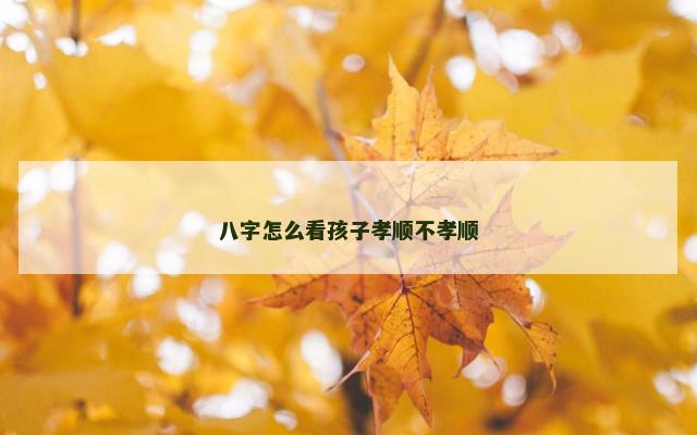 八字怎么看孩子孝顺不孝顺