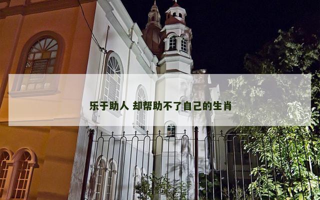 乐于助人 却帮助不了自己的生肖