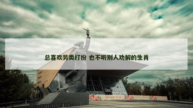 总喜欢另类打扮 也不听别人劝解的生肖