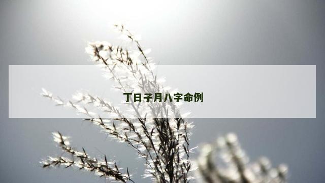 丁日子月八字命例