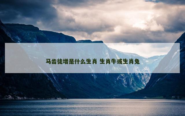 马齿徒增是什么生肖 生肖牛或生肖兔