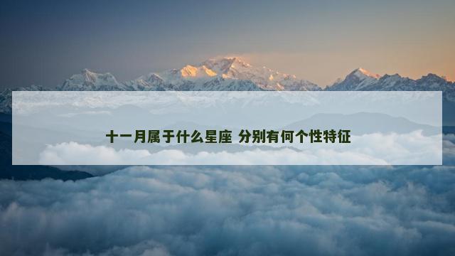 十一月属于什么星座 分别有何个性特征