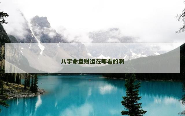 八字命盘财运在哪看的啊