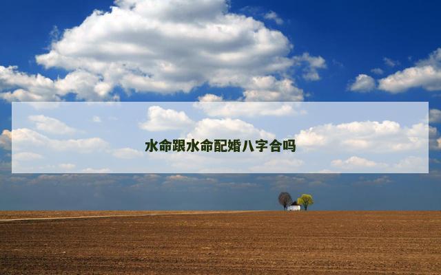水命跟水命配婚八字合吗