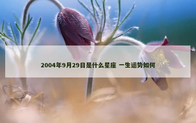 2004年9月29日是什么星座 一生运势如何