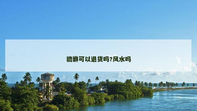 貔貅可以退货吗?风水吗