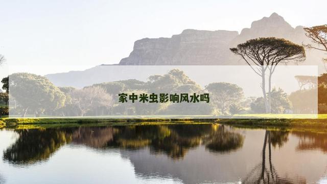 家中米虫影响风水吗