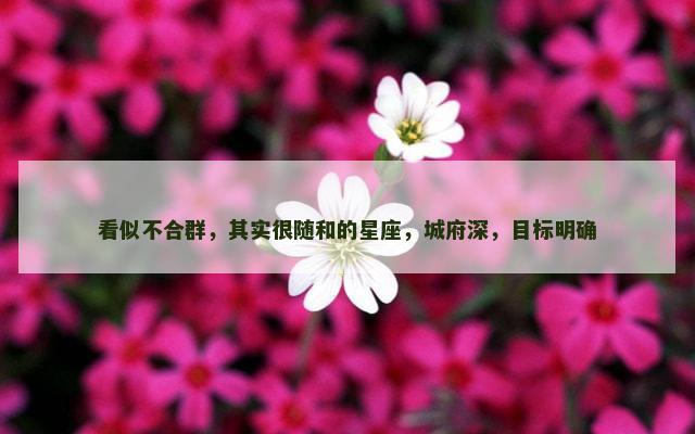 看似不合群，其实很随和的星座，城府深，目标明确