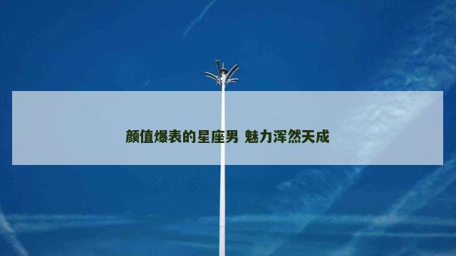 颜值爆表的星座男 魅力浑然天成
