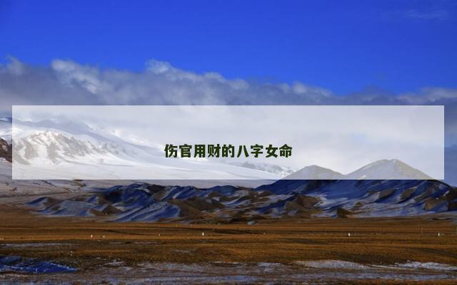 伤官用财的八字女命