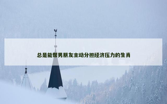 总是能帮男朋友主动分担经济压力的生肖