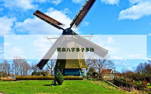 男命八字多子多孙
