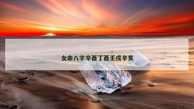 女命八字辛酉丁酉壬戌辛亥