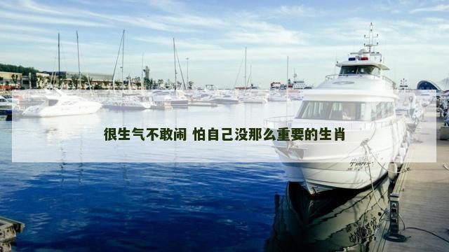 很生气不敢闹 怕自己没那么重要的生肖
