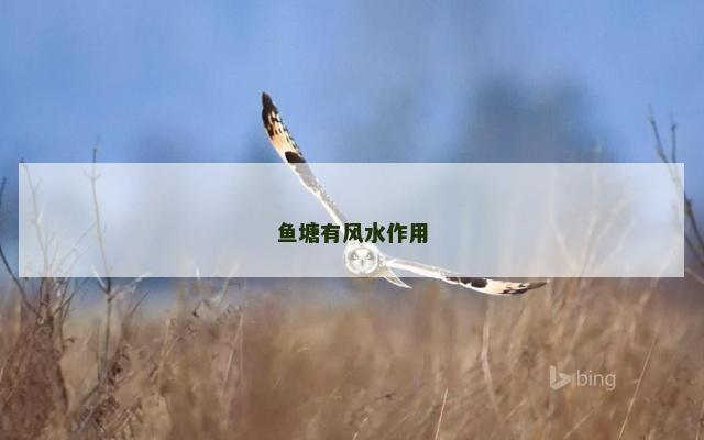 鱼塘有风水作用