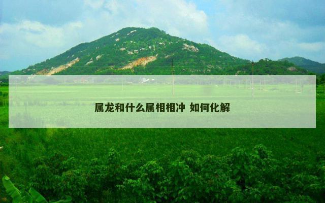 属龙和什么属相相冲 如何化解