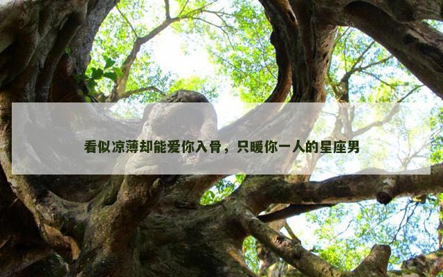 看似凉薄却能爱你入骨，只暖你一人的星座男