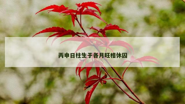 丙申日柱生于各月旺相休囚