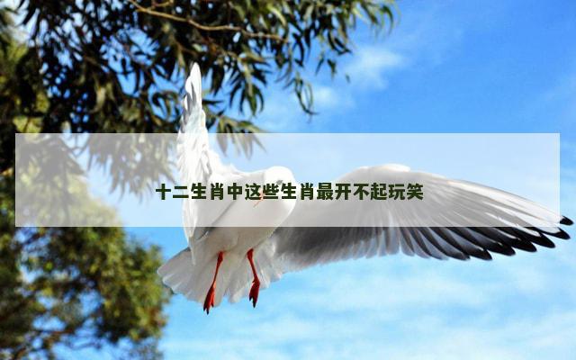 十二生肖中这些生肖最开不起玩笑