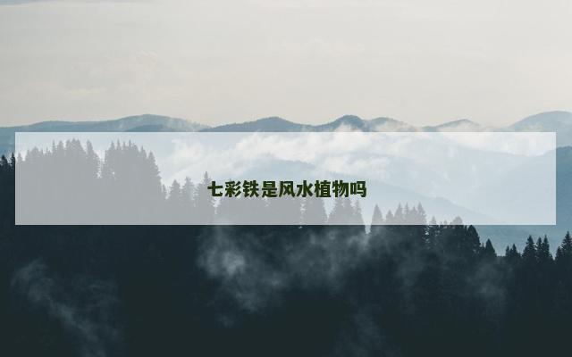 七彩铁是风水植物吗