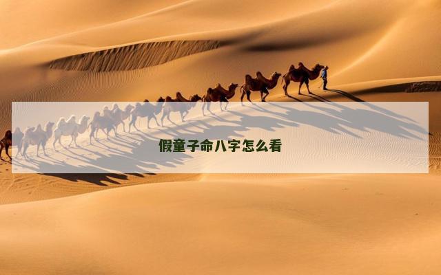 假童子命八字怎么看