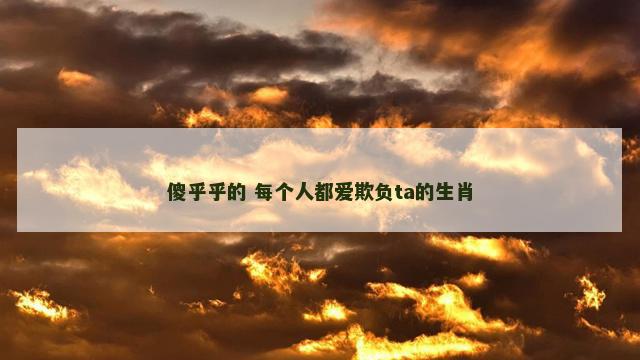 傻乎乎的 每个人都爱欺负ta的生肖