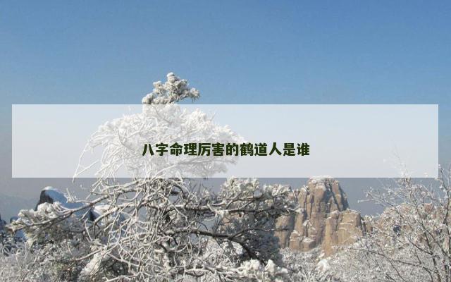 八字命理厉害的鹤道人是谁