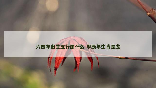六四年出生五行属什么 甲辰年生肖是龙